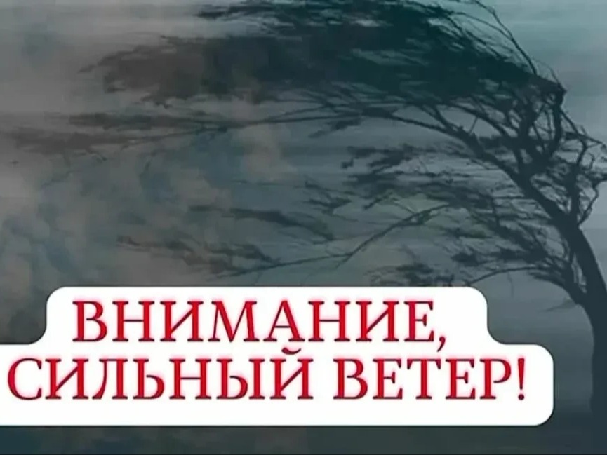 21.05.2026г днем местами ожидается сильный западный ветер, порывы 15-18 м/с..